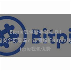 Bitpie钱包新手教程 Bitpie钱包安全可靠吗？详细解析Bitpie钱包优势