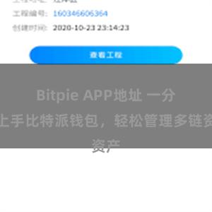 Bitpie APP地址 一分钟上手比特派钱包，轻松管理多链资产